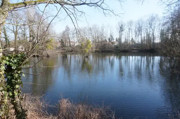 Isolation Extérieure Bardage Isolation extérieure bardage La Chapelle-Saint-Luc